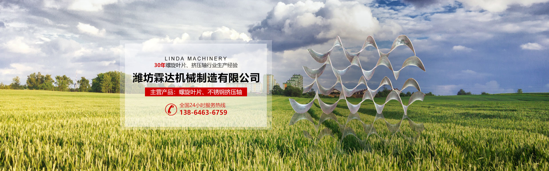 高速齒輪齒條系列升降機(jī)